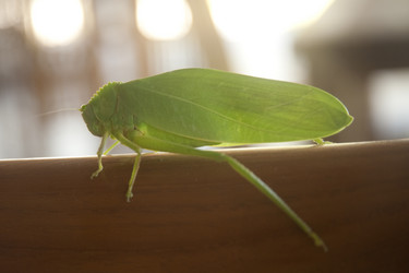 Similar image 7963282