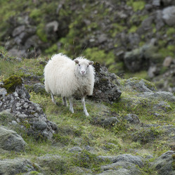 Similar image 7963284