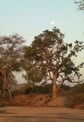 Similar image 7963294