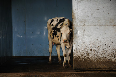 Similar image 7963303