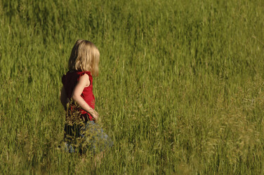 Similar image 7963305