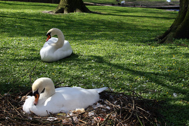 Similar image 7963313