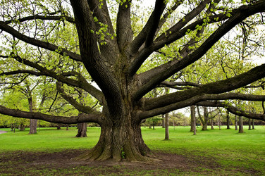 Similar image 7963315