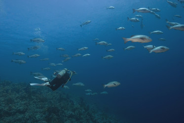 Similar image 7963320