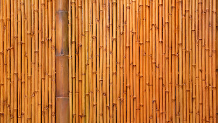 Similar image 7963328