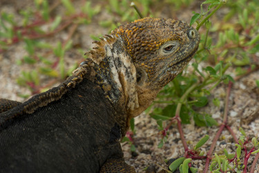 Similar image 7963337