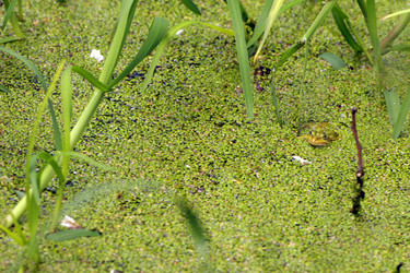 Similar image 7963349