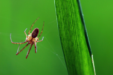 Similar image 7963350