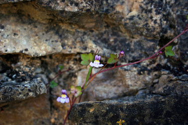 Similar image 7963355