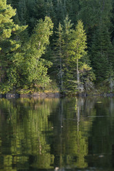 Similar image 7963362