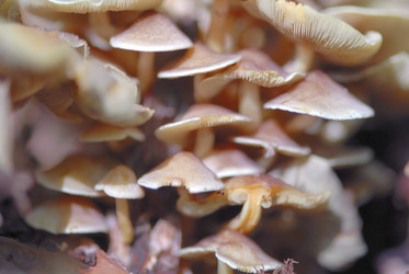 Similar image 7963363