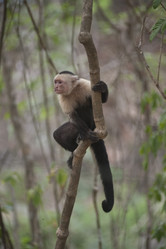 Similar image 7963364