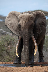 Similar image 7963368