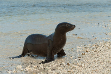 Similar image 7963369