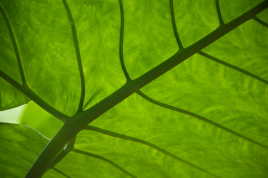 Similar image 7963370