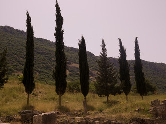 Similar image 7963372