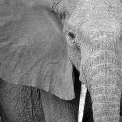 Similar image 7963376