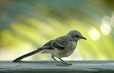 Similar image 7963378