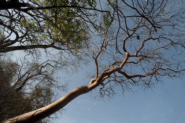 Similar image 7963426