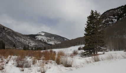 Similar image 7963429