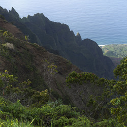 Similar image 7963431