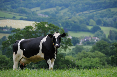 Similar image 7963438