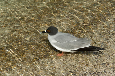 Similar image 7963439