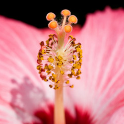 Similar image 7963453