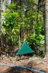 Similar image 7963474