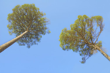 Similar image 7963475