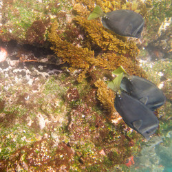 Similar image 7963477