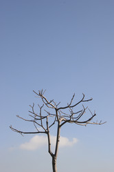 Similar image 7963479