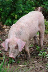 Similar image 7963490