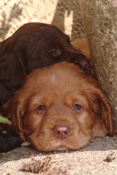 Similar image 7963491