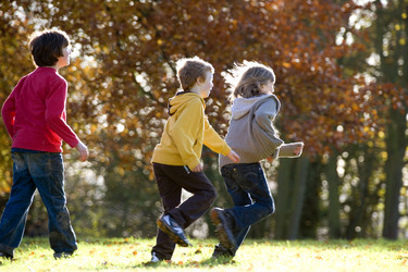 Similar image 7963497