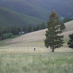 Similar image 7963506