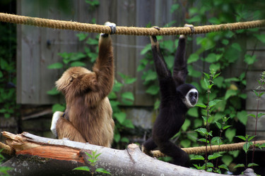 Similar image 7963511