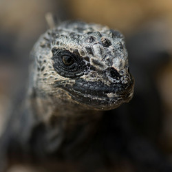 Similar image 7963513