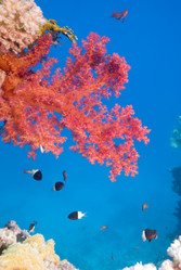 Similar image 7963514