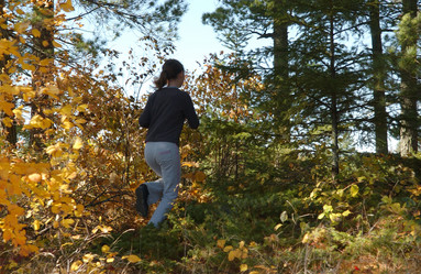 Similar image 7963526