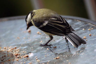 Similar image 7963530