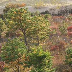 Similar image 7963534