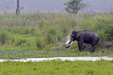 Similar image 7963537