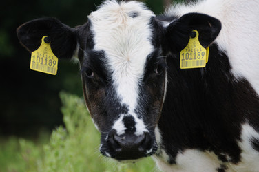 Similar image 7963542