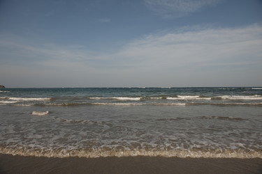 Similar image 7963543