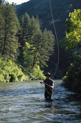 Similar image 7963552