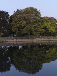 Similar image 7963555