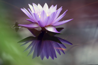 Similar image 7963556