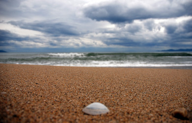 Similar image 7963566