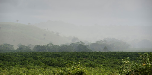 Similar image 7963571